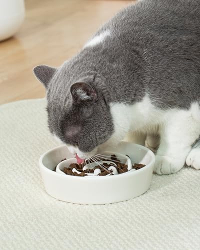 TRUVIC Ceramic Slow Feeder Dog Bowls Small Breed, 0.6 Cup Slow Feeder Cat Bowls for Fast Eaters, Ceramic Dog Food Dish no Black Chin, Puzzle Bowl for Small Dogs and Cats, White - color: 01-White, size: S-0.6 Cups