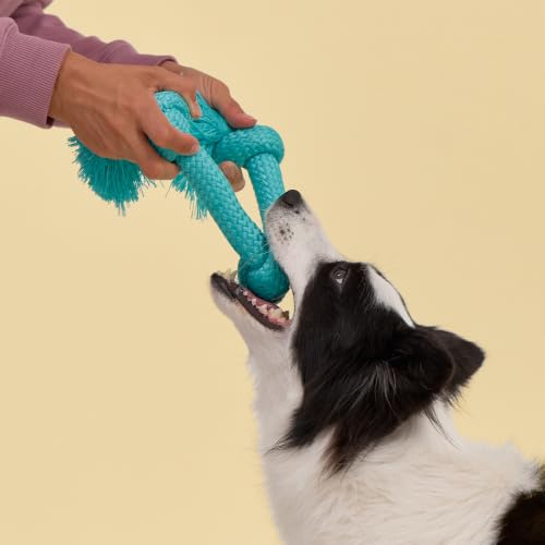 Playology Tug Rope Dog Toys for Large Dogs - Jumbo, Peanut Butter Scent - size: Jumbo, style: Peanut Butter