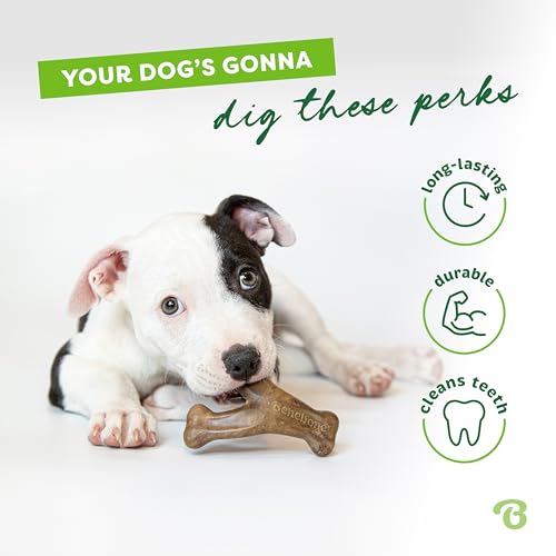 Benebone Wishbone Dog Chew Toy for Aggressive Chewers, Real Bacon, Tiny - size: Tiny
