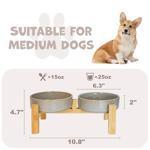 Elevated Ceramic Dog Bowls Set, Slow Feeder with Stand