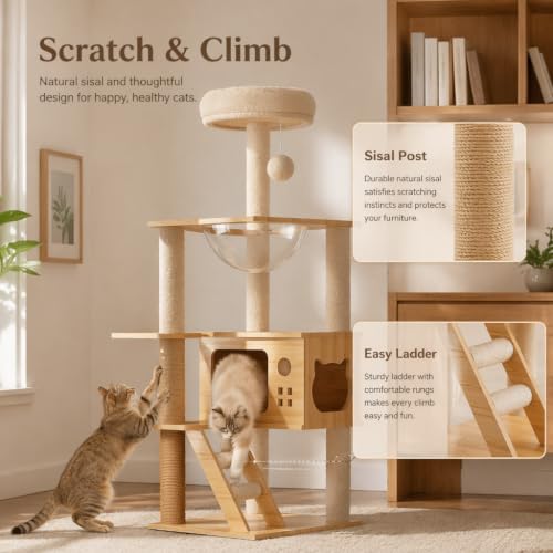 Solid Wood Cat Tree with Clear Space Capsule Nest, Multi-Level Cat Tower with Condo, Sisal Scratching Posts & Ladder, Indoor Activity Cat Perch Furniture for Kitten Adult Cats - color: Style B