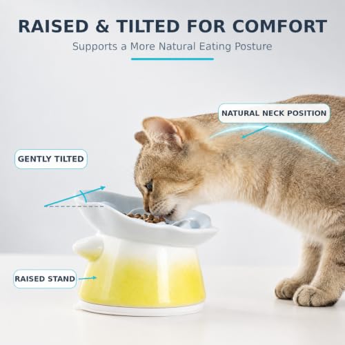 Slow Feeder Cat Bowl with Anti Slip Padfor Dry and Wet Food