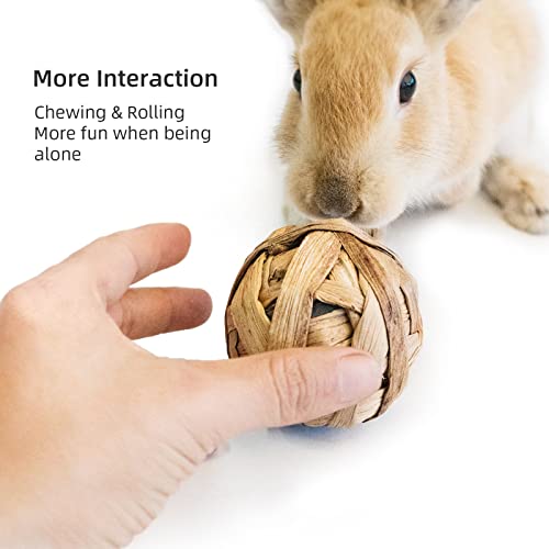 andwe Small Animals Play Activity Balls Rolling Chew Toys(Pack of 8) - size: Pack of 8