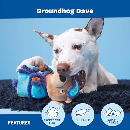 BarkBox Groundhog Dave Dog Toy - Toy for Small to Medium Dogs - color: Groundhog Dave