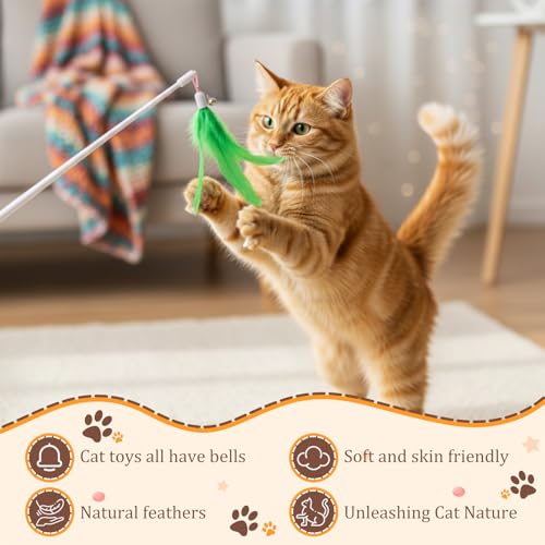 60 Pcs Cat Feather Toy Refills Colorful Attachments, Full-Mix - style: full-mix