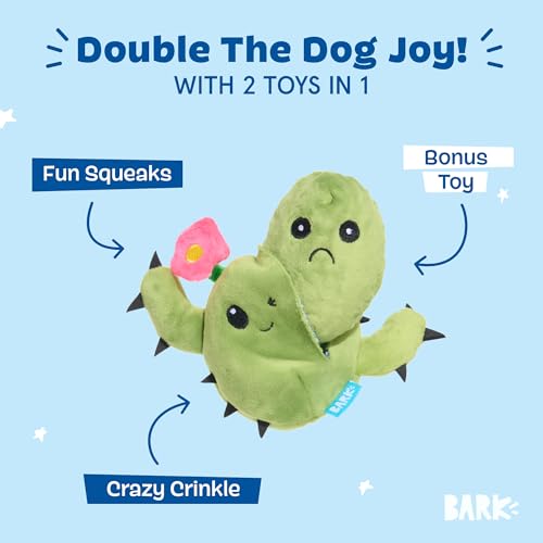 BarkBox Consuela the Cactus 2-in-1 Interactive Plush Dog Toy - color: Consuela - Small