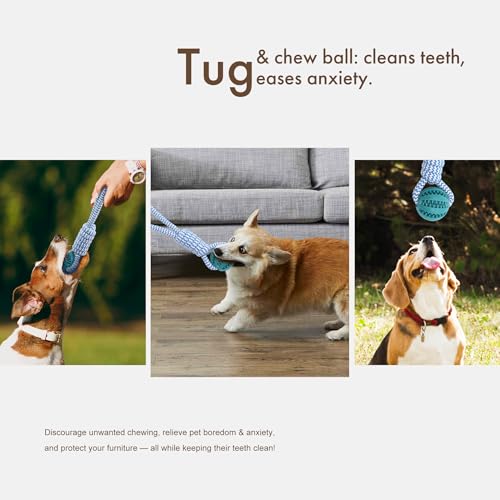 Mira's Pocket Indestructible Chew Toy for Aggressive Chewers - Durable Rubber Dog Teething Ball with Rope, Boredom Relief Puppy Toys (Blue, Small) (Green, Small) - color: Green, size: Small