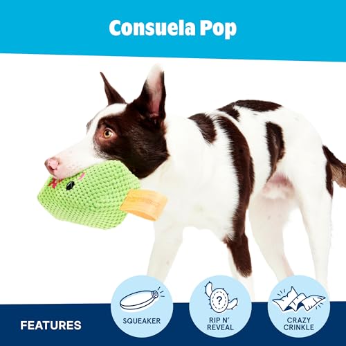 BarkBox BARK Consuela the Cactus Pop - 2-in-1 - Large - color: Consuela Pop