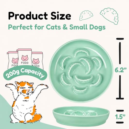 Ceramic Cat Slow Feeder Bowl - 6.2'' Whisker Friendly Cat Plate for Dry and Wet Food - Heavy Puzzle Feeding Bowl for Slow Eating - Helps Reduce Vomiting - Microwave & Dishwasher Safe -Non Slip - Green - color: Green