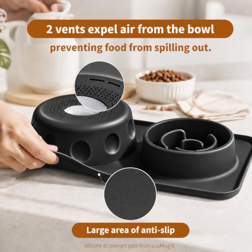 Slow Feeder Dog Bowl and Cat Water Bowl Set, 2 in 1 Pet Food and Water Bowl with Spill Proof Tray, Maze Puzzle Slow Eating Bowl for Cats and Dogs Black - color: Black, size: Double
