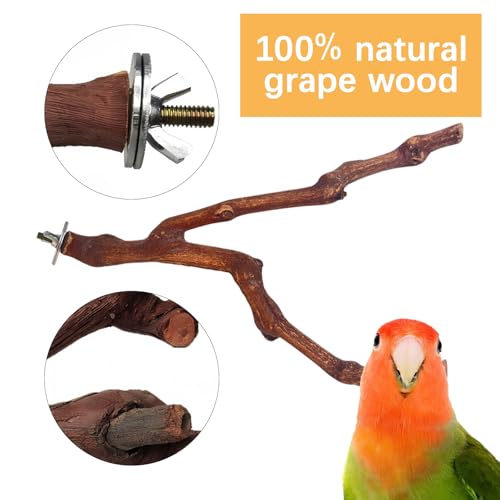 5PCS Bird Perch Stand, Bird Perch Stand Natural Wood Standing - color: Wood
