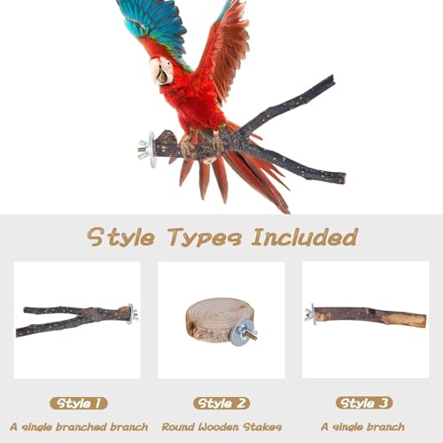 8 Pieces Bird Perch Natural Wooden Parrot Perch Stand Fork Toys Hanging Multi-Branch Perches Platform Hammock Swing Toy for Macaws, Small Parakeets, Conures, Budgies, Finches (A-Color, Mix)