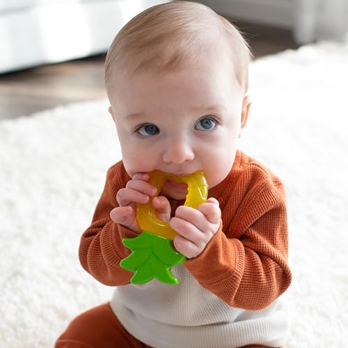 Dr. Brown's Aqua Cool Water-Filled Teether, Apples and Pineapples, 4-Pack - color: Apples + Pineapples