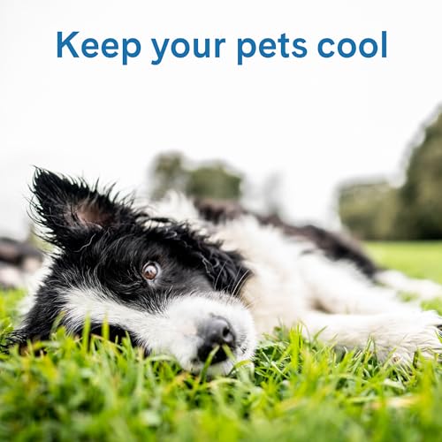 The Green Pet Shop Cool Pet Pad - Large, Disney’s Stitch - Self-Cooling, Pressure Activated Mat for Dogs & Cats from 46-80 lbs - Non-Toxic Gel, No Water Needed - color: Stitch, size: Large