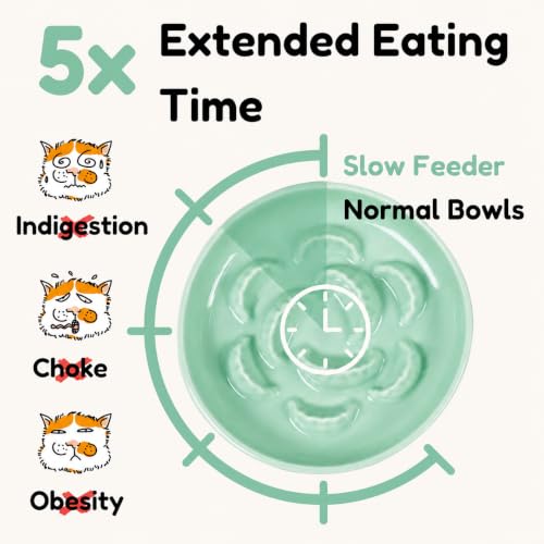 Ceramic Cat Slow Feeder Bowl - 6.2'' Whisker Friendly Cat Plate for Dry and Wet Food - Heavy Puzzle Feeding Bowl for Slow Eating - Helps Reduce Vomiting - Microwave & Dishwasher Safe -Non Slip - Green - color: Green