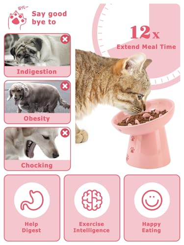 Y YHY 6 Inch Slow Feeder Bowl, Elevated Dog & Cat Bowl, Ceramic, Anti Vomiting, Pink - color: Pink
