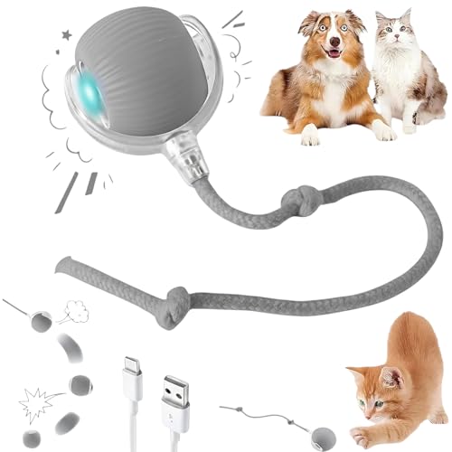 Durable Interactive Cat Toys for Indoor Cats, Dog Toys Ball, Rolling Pet Ball, Smart Automatic Cat Chase Balls Toy, Interactive Dog Toys Speedy Tail,Kitten & Cat Toys Interactive (Gray) - color: GRAY