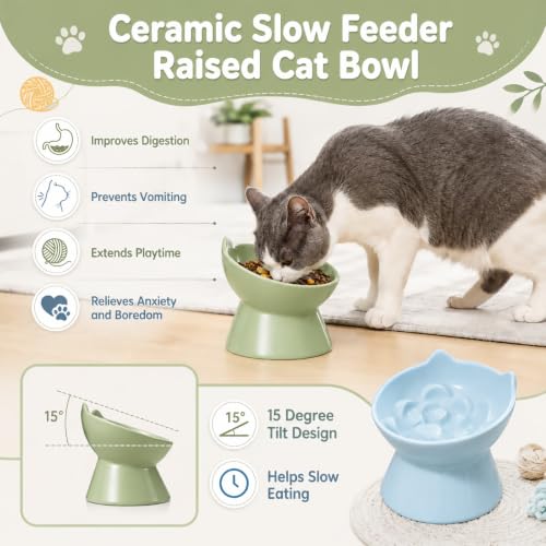 STARVAST 2 Pack Ceramic Slow Feeder Cat Bowl, Elevated