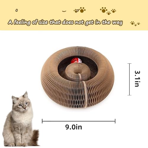 Kitty Curlz Magic Organ Cat Scratching Board