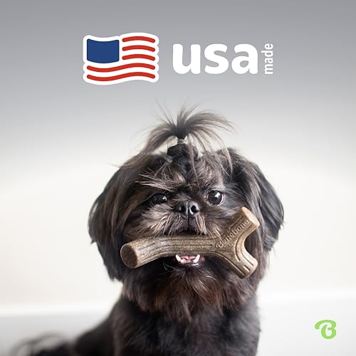 Benebone Small 4-Pack Dog Toys for Aggressive Chewers – Under 30 lbs - size: Small, style: 4 Pack