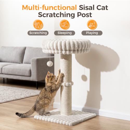 Avont Modern Cloud Cat Scratching Post with Perch for Indoor Adult Cats - color: Cream