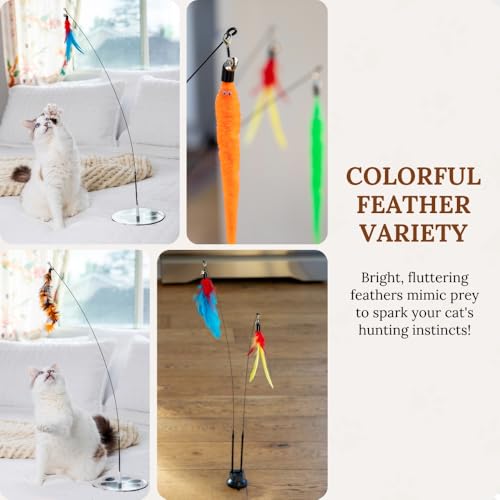 Cat Toys for Indoor Cats, Interactive Cat Toy Wand, Kitten Stuff, 9 Lures - color: Meow Motion Bundle