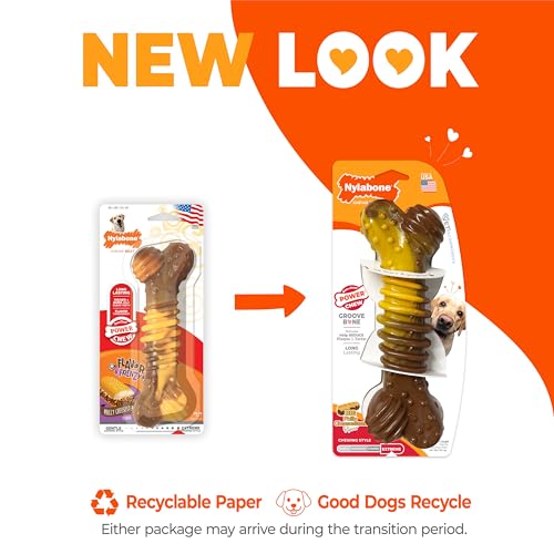 Nylabone Power Chew Dental Groove Bone Dog Chew Toy, X-Large - size: X-Large