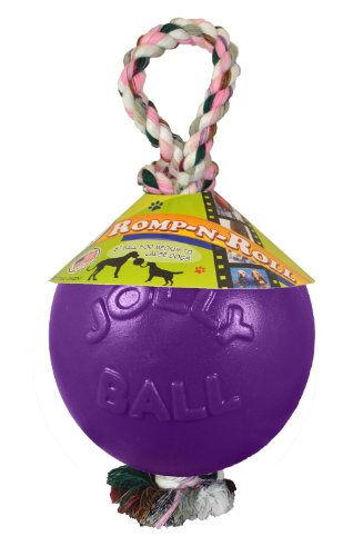 Jolly Pets Romp-N-Roll Rope & Ball Dog Toy, 4.5 in Small, Purple - color: Purple, size: Small (4.5 in)