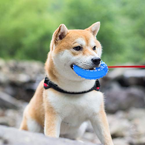 NWK Cooling Chew Toy for Dogs, Puppy Teething Toy (Ring) - color: Blue Ring
