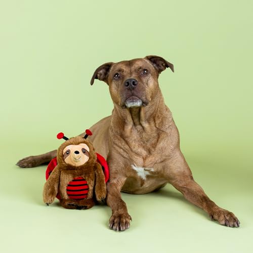 Fringe Studio Little Ladybug Plush Dog Toy, Pet Shop Collection (314201) - color: Ladybug