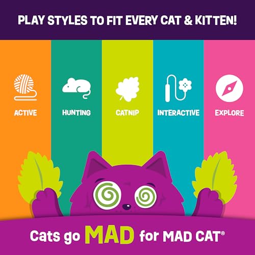 Mad Cat Battin' at Bugs Puzzle, Treat and Food Puzzle, Provides Mental Stimulation, Slow Feeding, for Cats of All Ages