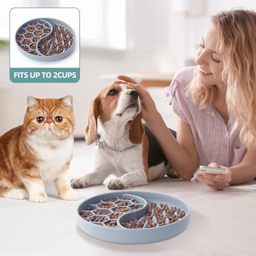 Slow Feeder Dog Bowl, Pet Puzzle Dish w/Suction Cup, Small Medium - color: Blue