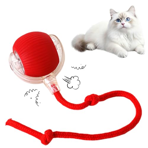 Cat Toy, 360° Automatic Rolling Smart Pet Ball Toys, Motion-Activated, Rechargeable, Four Modes, Three Speed Adjustment, Solve Your Cat's Boredom in Seconds (Red) - color: Red