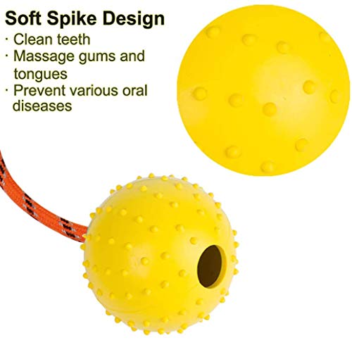 2 Pack Dog Ball, K9 Ball on Rope for Reward, Fetch, Play (6cm) - size: 2.36 in (Bright Color)