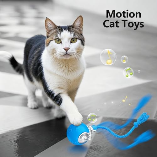 Speed 2.0 Tail Interactive Cat Toys, Rechargeable Ball for Indoor Cats - color: Blue tail