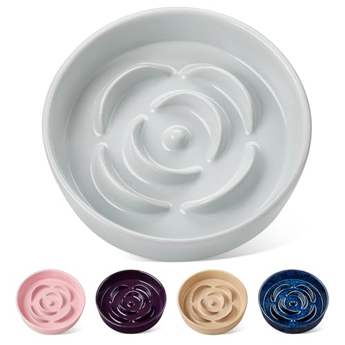 vancasso Slow Feeder Dog Bowl, 1.5 Cup Ceramic Puzzle Dish for Medium Breed - color: Grayish Cyan, size: M - 1.5 Cups