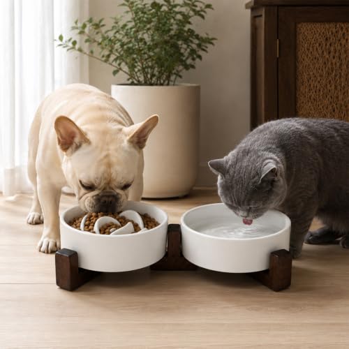 2-in-1 Ceramic Elevated Slow Feeder Dog Bowls with Acacia Wood Stand - size: Small