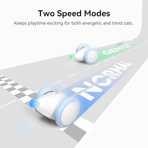 Cheerble Interactive Cat Toys for Indoor Cats, Automatic Moving Kitten Toys, Wicked Mouse Neo Cat Toy with Tail & Lights, Pet Cat Supplies, Rechargeable Cat Toys for Bored Indoor Adult Cats - color: Mouse Neo-Blue