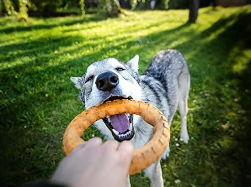 Spunky Pup Gnaw Guard Foam Dog Toy | Strong Dental Chew Toy | Promotes Healthy Teeth & Gums | Large Ring - color: Light Blue, size: Large