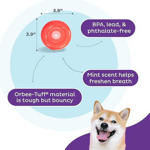 Outward Hound by Planet Dog Lil' Snoop Dog Toy – Treat‑Dispenser Puzzle Ball, Interactive Slow Feeder, Small to Medium Dogs, Bouncy & Mint-Infused, Red, 3.9" - color: Red Lil Snoop