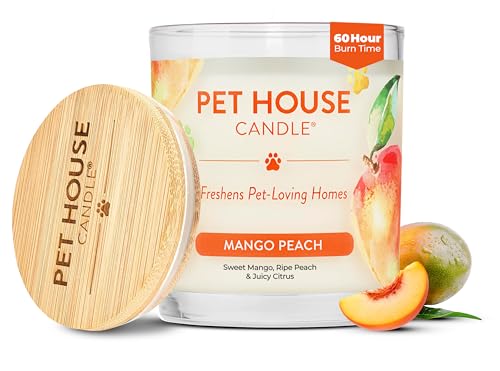 Mango Peach Candle Pet Friendly Plant-Based Wax, Pet House - color: Mango Peach, size: Pack of 1