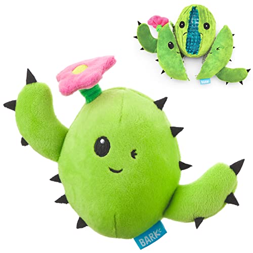 BarkBox Consuela the Cactus 2-in-1 Interactive Plush Dog Toy - color: Consuela - Small