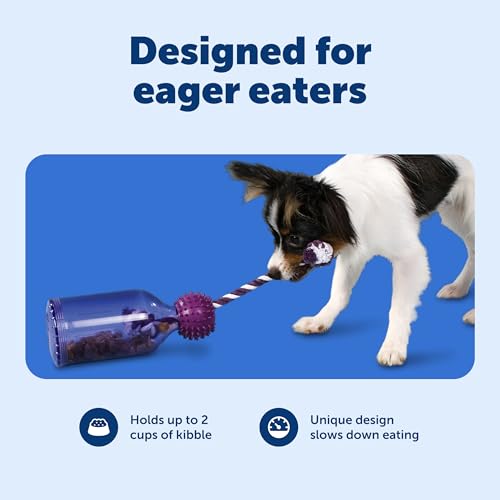 PetSafe Busy Buddy Tug-A-Jug Treat Dispensing Dog Toy, Small
