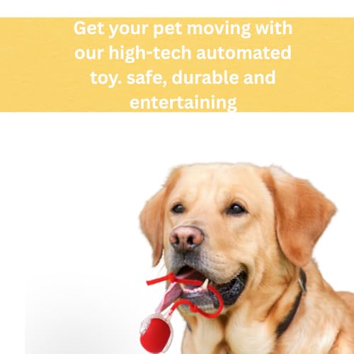 Interactive Cat Toy Ball – Automatic Self-Moving, Motion-Activated, USB-Rechargeable, Quiet LED Chase Modes, Indoor Exercise & Enrichment for Bored Cats & Kittens