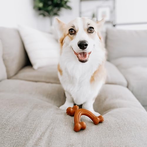 Nylabone Power Chew Easy-Hold Wishbone Dog Chew Toy, Small - color: Wishbone, size: Small