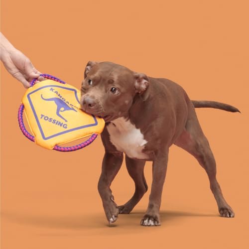 BarkBox Kangaroo Tossing Flying Disc Dog Toy - for Dogs - color: Kangaroo Tossing