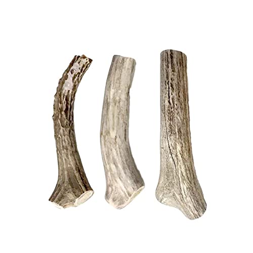 hotspot pets Small Premium Deer Antler for Dogs (3 Pack) - 4-7 Inch Long Lasting Antler Dog Chews Naturally Shed Deer Antlers Bone for Small & Medium Breed Aggressive Chewers - Sourced in USA - size: 3 Count (Pack of 1)