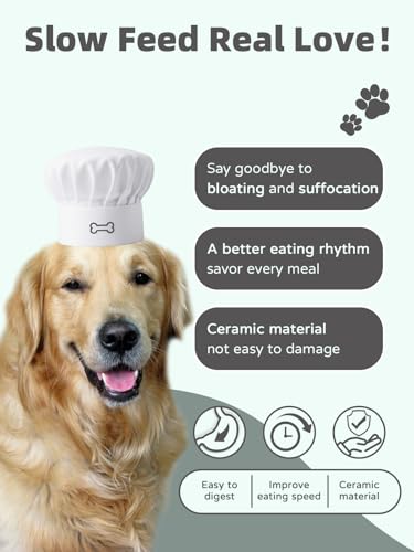 Ceramic 1.8 Cup for Small & Medium Breeds Slow Feeder Dog Bowl (White) - color: White
