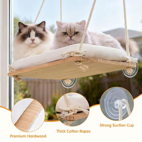 Large Cat Window Perch Hammock, Solid Wood Seat & Plush Cushion - size: Suction Cup Mount - Large