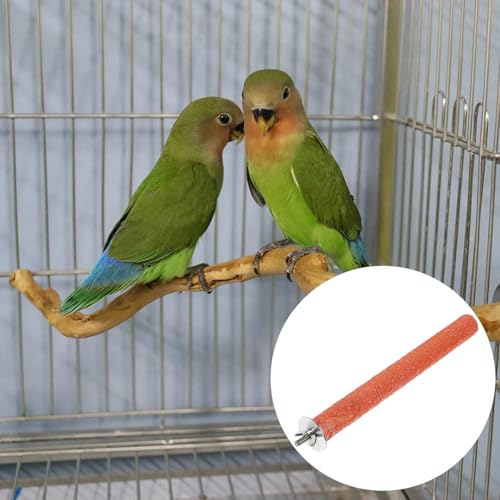 Mipcase Bird Climbing Stand Parrot Grind Stick Beak Grinder for Birds Standing Perch Toy for Cockatiels Parakeets Small Birds 7.87 X 0.78 X 0.78 in Random Color